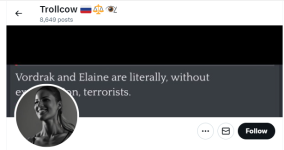 elainemasoneye.png