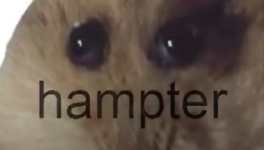 hampter.png