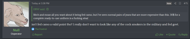 fed camo.png