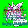 natth4545