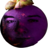 MangosteenJosh