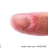 Josh Moon's Rugburned Clitty